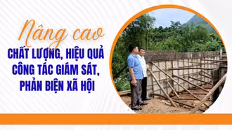 Nâng cao chất lượng, hiệu quả công tác giám sát, phản biện xã hội