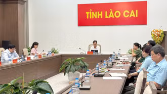 Lào Cai tham dự Hội nghị trực tuyến về đẩy mạnh ngoại giao kinh tế, tạo đà tăng trưởng hai con số