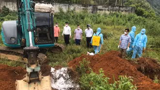 Lào Cai tiêu hủy gần 10.000 con lợn do dịch tả lợn châu Phi