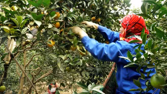 Tiếp cận thông tin, xây dựng mô hình kinh tế hiệu quả bền vững