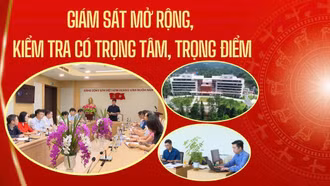 Giám sát mở rộng, kiểm tra có trọng tâm, trọng điểm