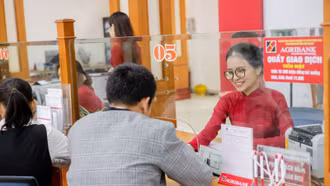 Nâng quy mô cho vay Chương trình tín dụng cho nông, lâm, thủy sản lên mức 185.000 tỷ đồng