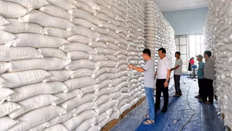 Hơn 700 tấn gạo và hàng cứu trợ quốc gia được xuất cấp khẩn cấp cho Tuyên Quang và Quảng Ngãi