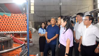 Hiệp hội Doanh nghiệp Nam Lào Cai thăm và làm việc với 9 doanh nghiệp hội viên