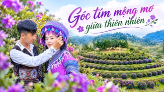 Góc tím mộng mơ giữa thiên nhiên