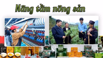 Nâng tầm nông sản