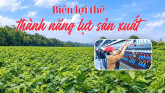 Biến lợi thế thành năng lực sản xuất