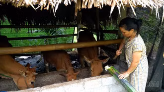 Xã Yên Thành hỗ trợ giảm nghèo “trúng đối tượng, đúng nhu cầu”
