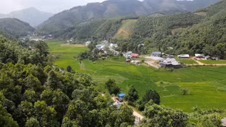 Lương Thịnh đẩy mạnh chuyển đổi cây trồng gắn với sản xuất hàng hóa