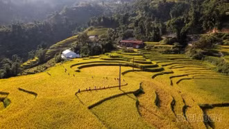 Vì một Lào Cai hạnh phúc