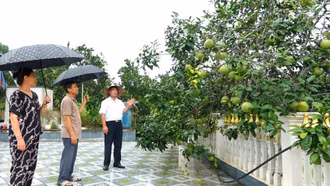 Bí thư chi bộ hết lòng vì sự phát triển của thôn