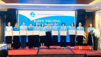 Hội Liên hiệp Phụ nữ tỉnh triển khai nhiệm vụ những tháng cuối năm