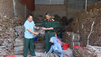 Doanh nhân cựu chiến binh Lào Cai vững vàng trên thương trường