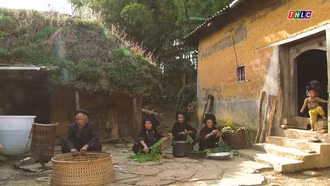 Phóng sự tài liệu: Mật ngữ sinh tồn 