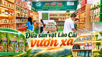 Điểm bán hàng OCOP - cầu nối đưa sản vật Lào Cai vươn xa