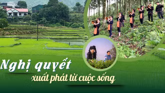 Nghị quyết xuất phát từ cuộc sống 