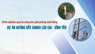 Kinh nghiệm quý từ công tác giải phóng mặt bằng Dự án đường dây 500Kv Lào Cai - Vĩnh Yên