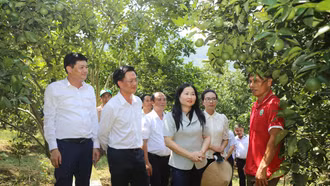 Phó Chủ tịch UBND tỉnh Vũ Thị Hiền Hạnh khảo sát tình hình thực tế tại xã Phúc Khánh 