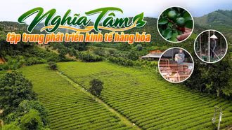Nghĩa Tâm tập trung phát triển kinh tế hàng hóa