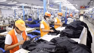 Doanh nghiệp khẩn trương thiết lập cơ chế thích ứng