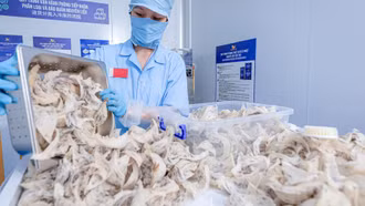 Thêm 4 mặt hàng nông sản Việt Nam được xuất chính ngạch sang Trung Quốc