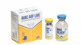 Vaccine dịch tả lợn châu Phi của Việt Nam lần đầu tiên xuất khẩu sang Indonesia
