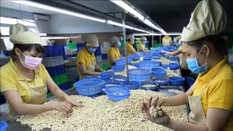 Kỳ vọng mức thuế đối ứng thấp nhất với nông sản Việt