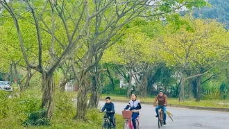 Xu hướng du lịch gia đình của khách Việt Nam
