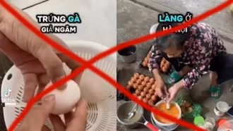 Bác thông tin trứng gà giả trên mạng xã hội