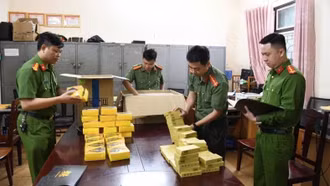 Siết quản lý mô hình nhị phân: Không thể để doanh nghiệp 'tự công bố' lách luật