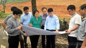 Giám sát việc triển khai các dự án do HĐND tỉnh quyết định chủ trương đầu tư