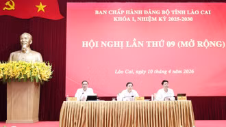 Hội nghị Ban Chấp hành Đảng bộ tỉnh lần thứ 9 