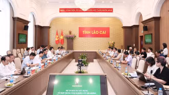 Chủ tịch UBND tỉnh Nguyễn Tuấn Anh làm việc với Công ty Cổ phần Đầu tư Bảo Lai