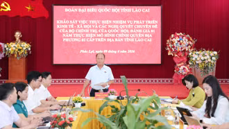 Đoàn đại biểu Quốc hội tỉnh khảo sát tại xã Phúc Lợi