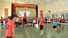 Cam Đường tổ chức Giải bóng chuyền hơi người cao tuổi năm 2026