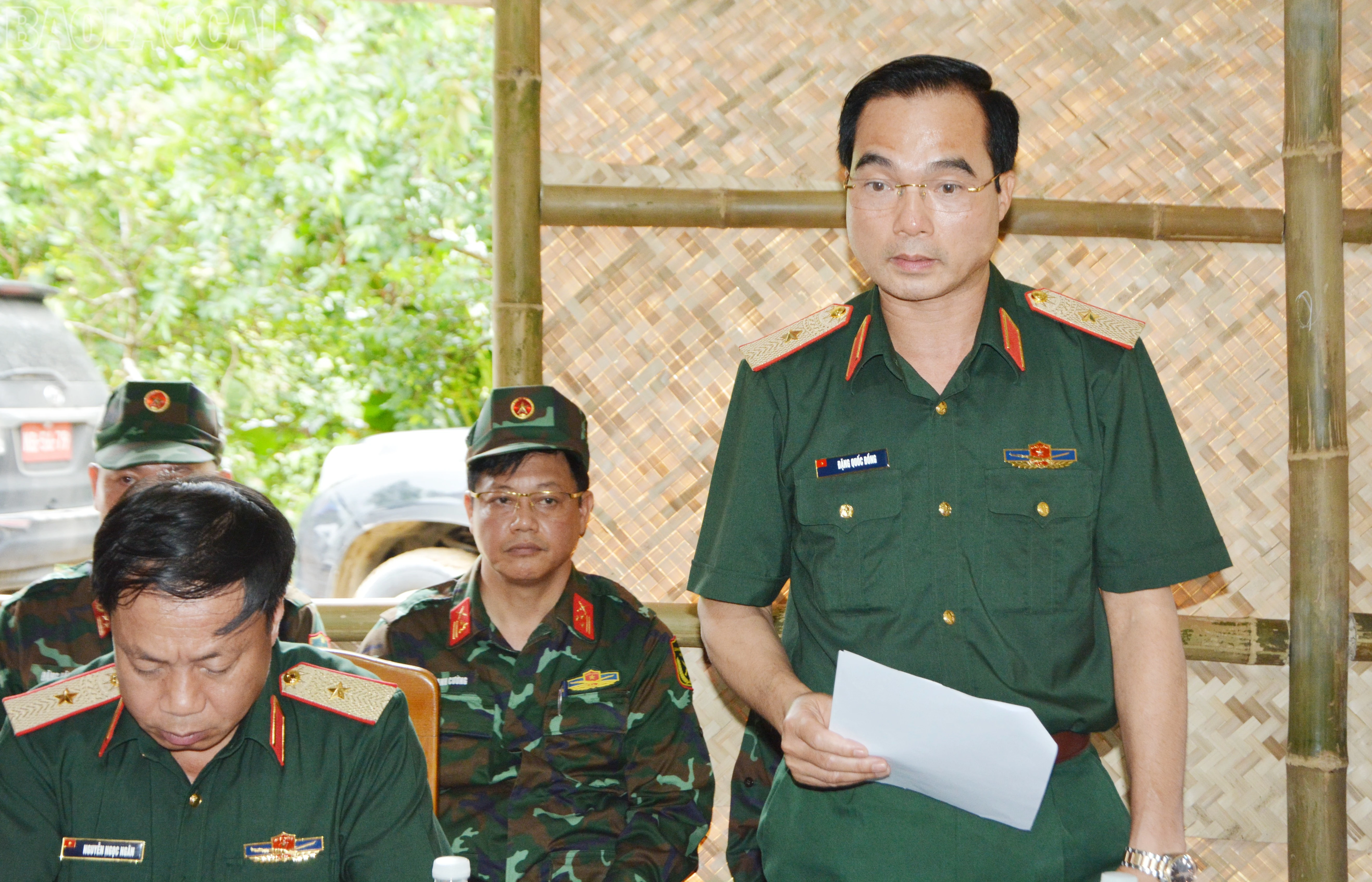 baolaocai-tl_dsc-3201.jpg