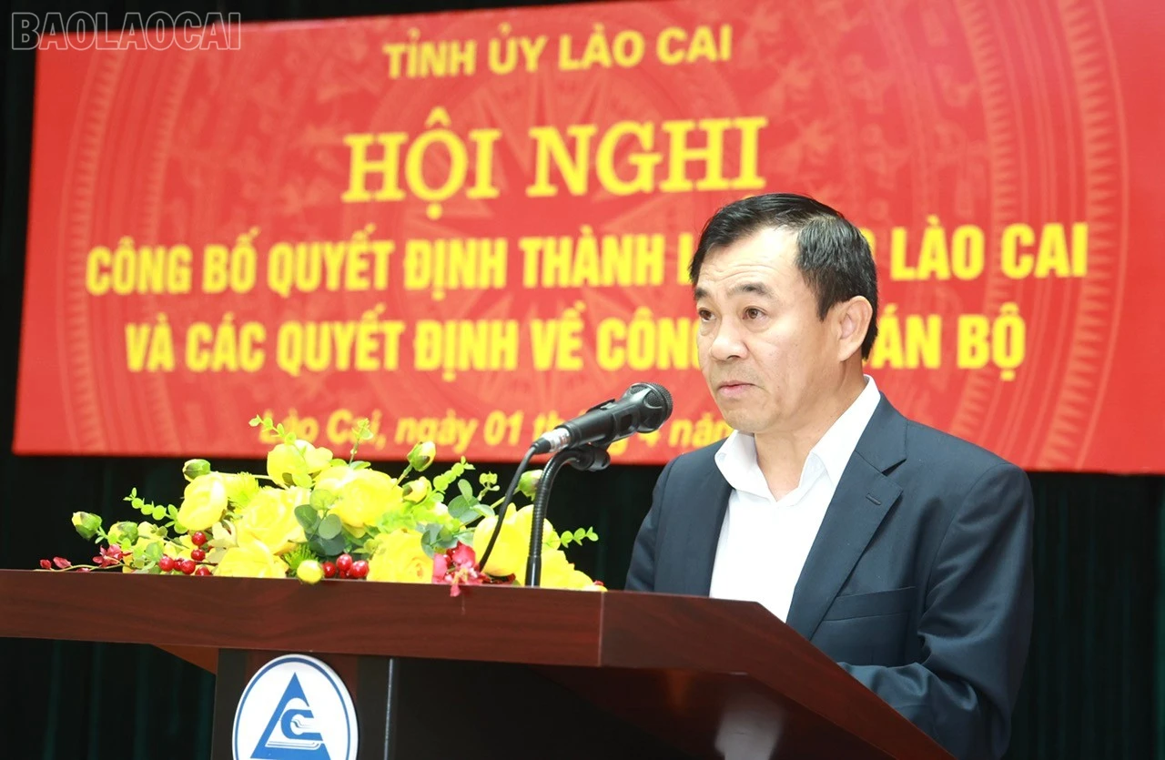 baolaocai-tl_z6461536802346-b1ff8fa12cc065a597cdb4452ae06b3b.jpg