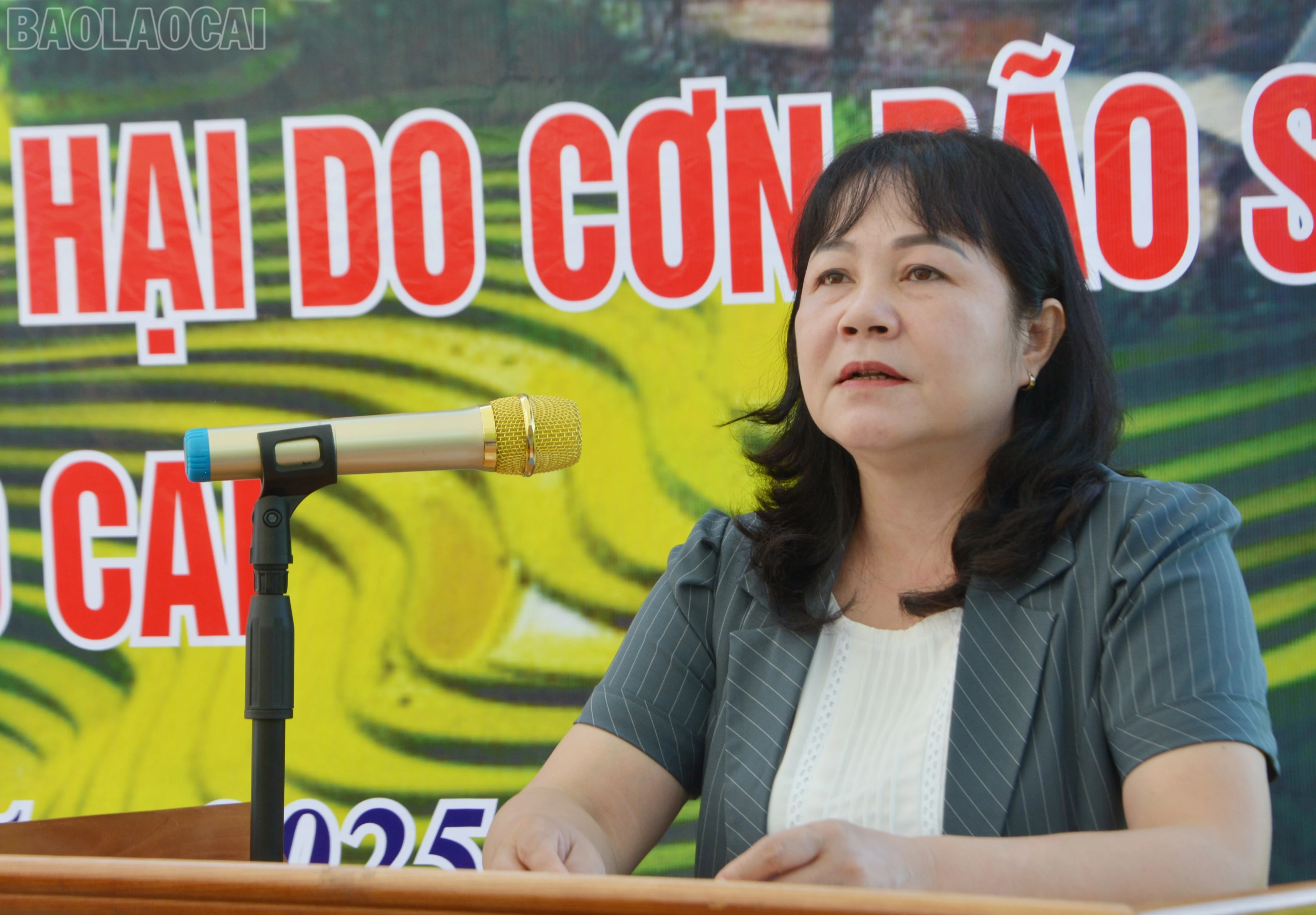 baolaocai-tl_dsc-7631.jpg