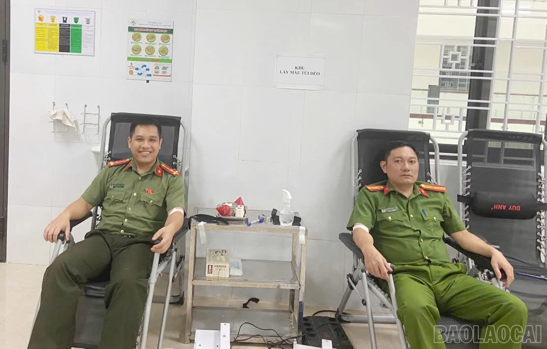 baolaocai-br_z6935417910042-a44046cdc32f5ffdb05920a9dee35094.jpg