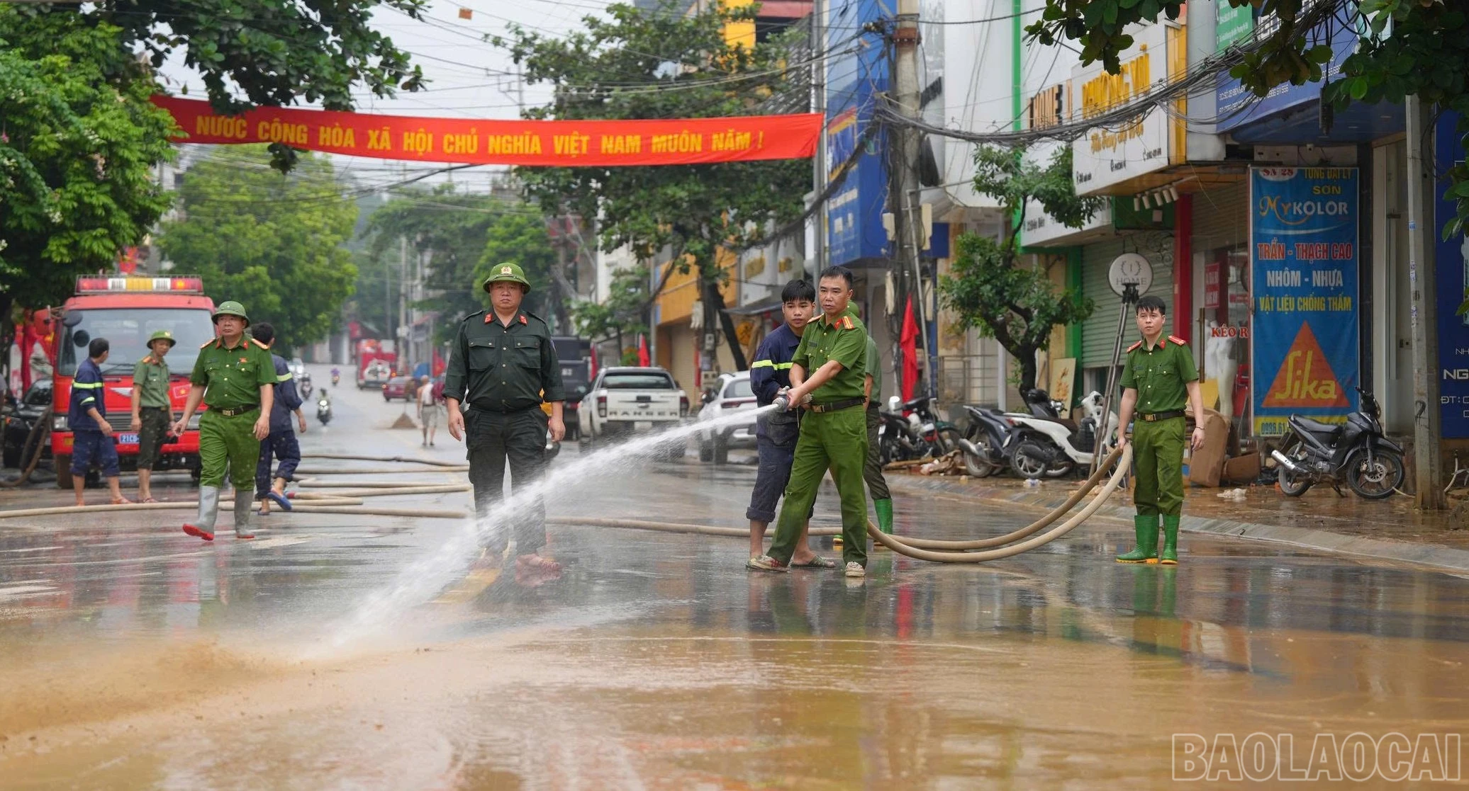 baolaocai-br_image.jpg