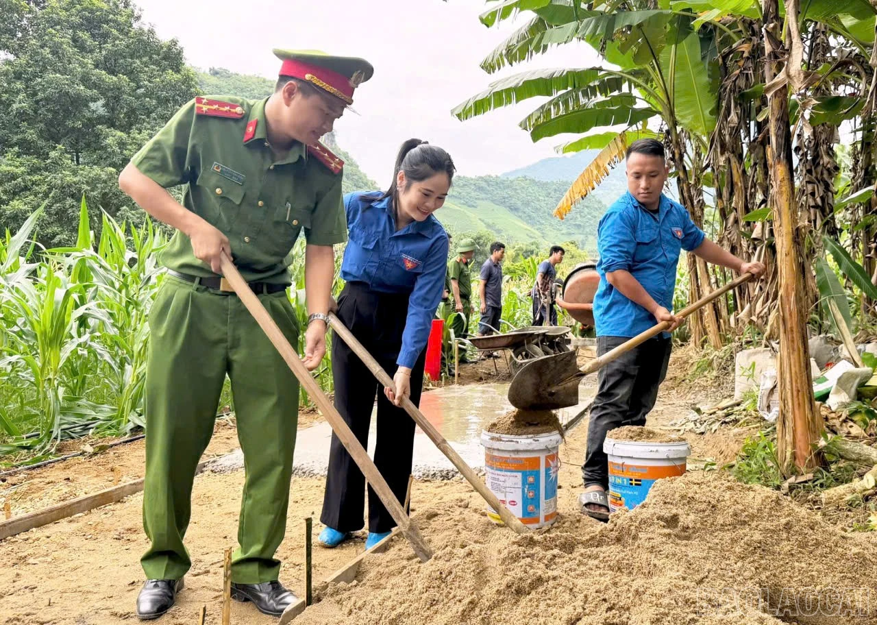 baolaocai-br_z7087145697083-5d2488b07f9b17d532a5ab7335b8f7fb.jpg