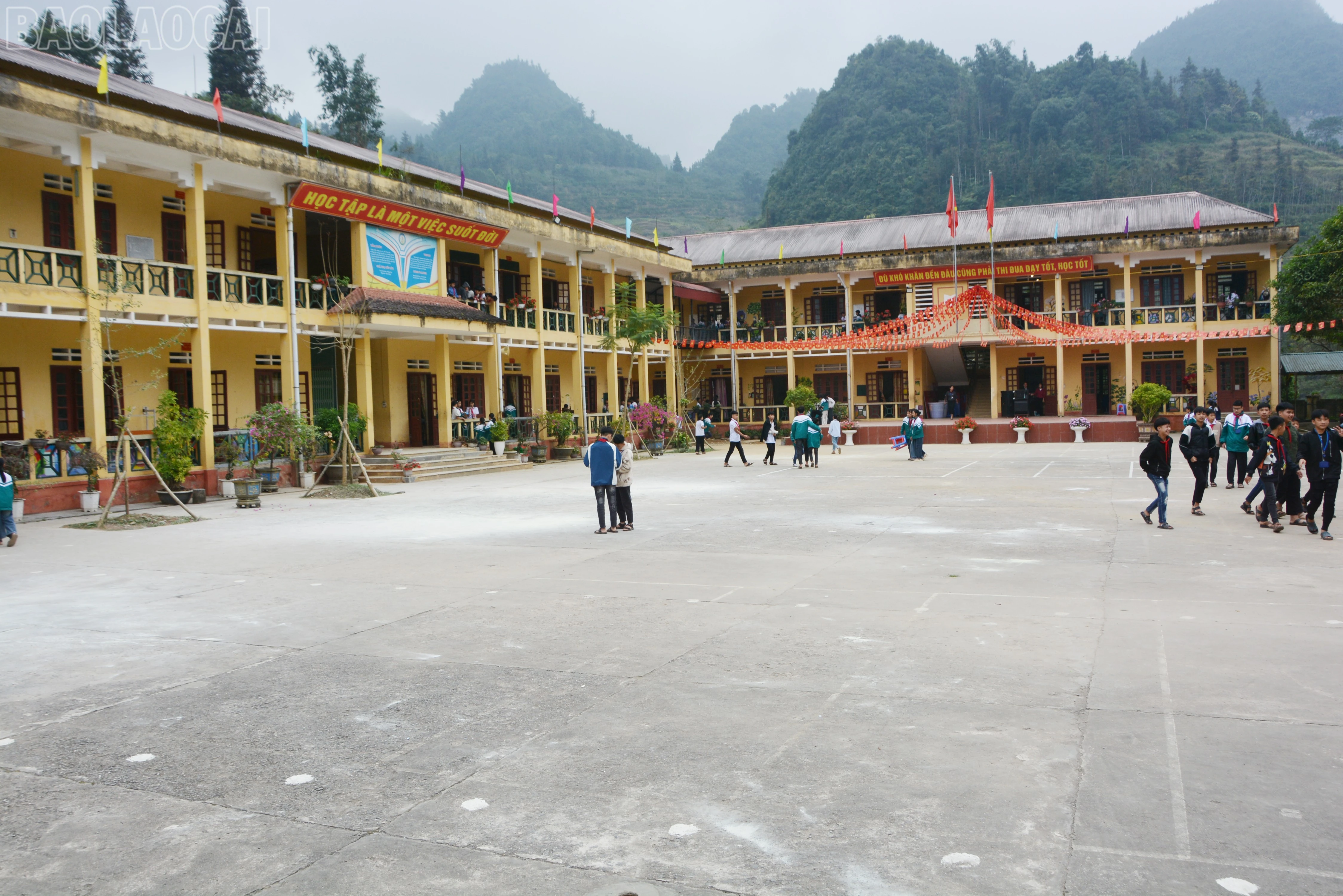 baolaocai-tl_dsc-9212.jpg
