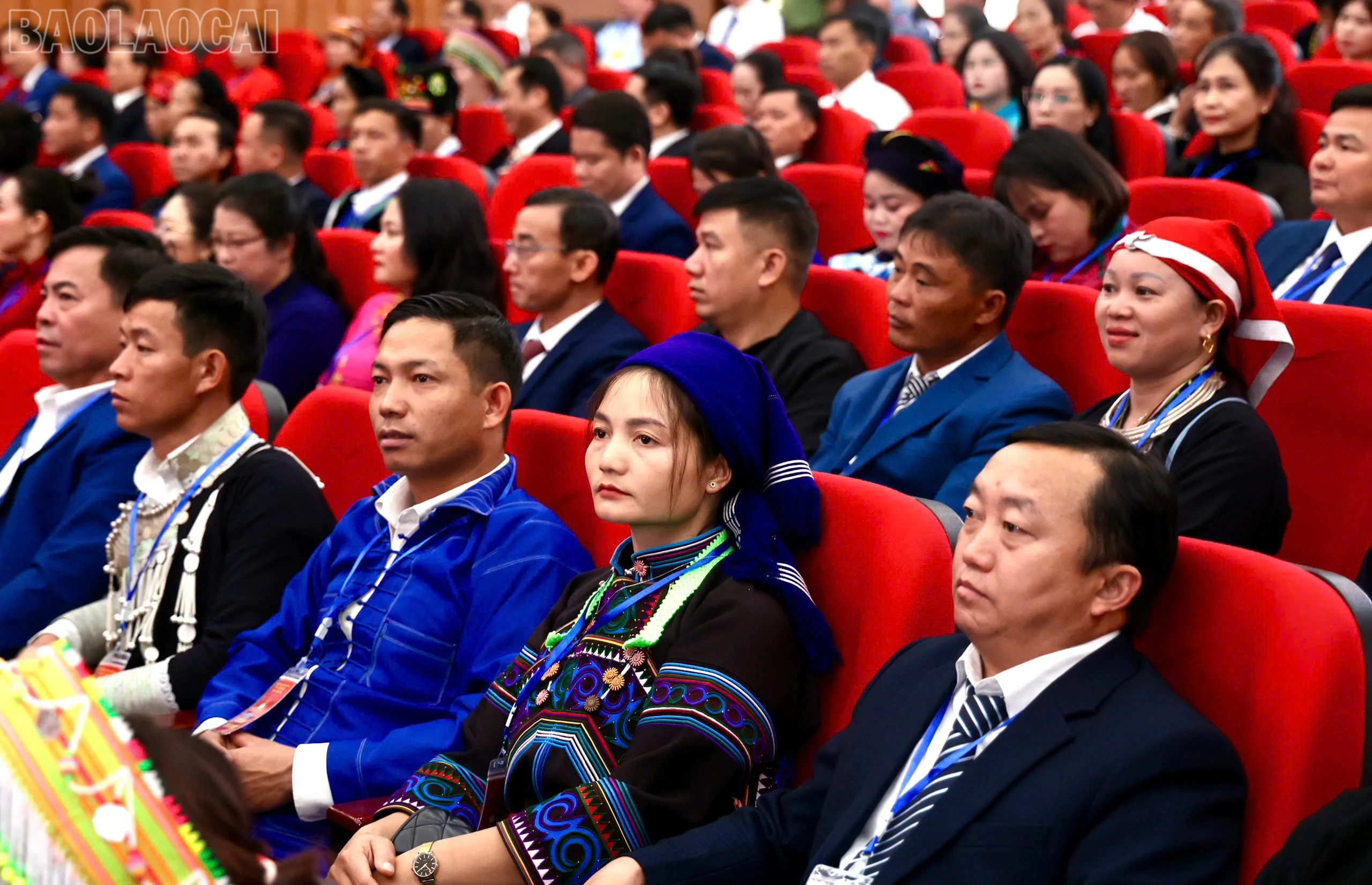 baolaocai-tl_z7177239692319-3e9038ad75f235469625f0699b470338.jpg