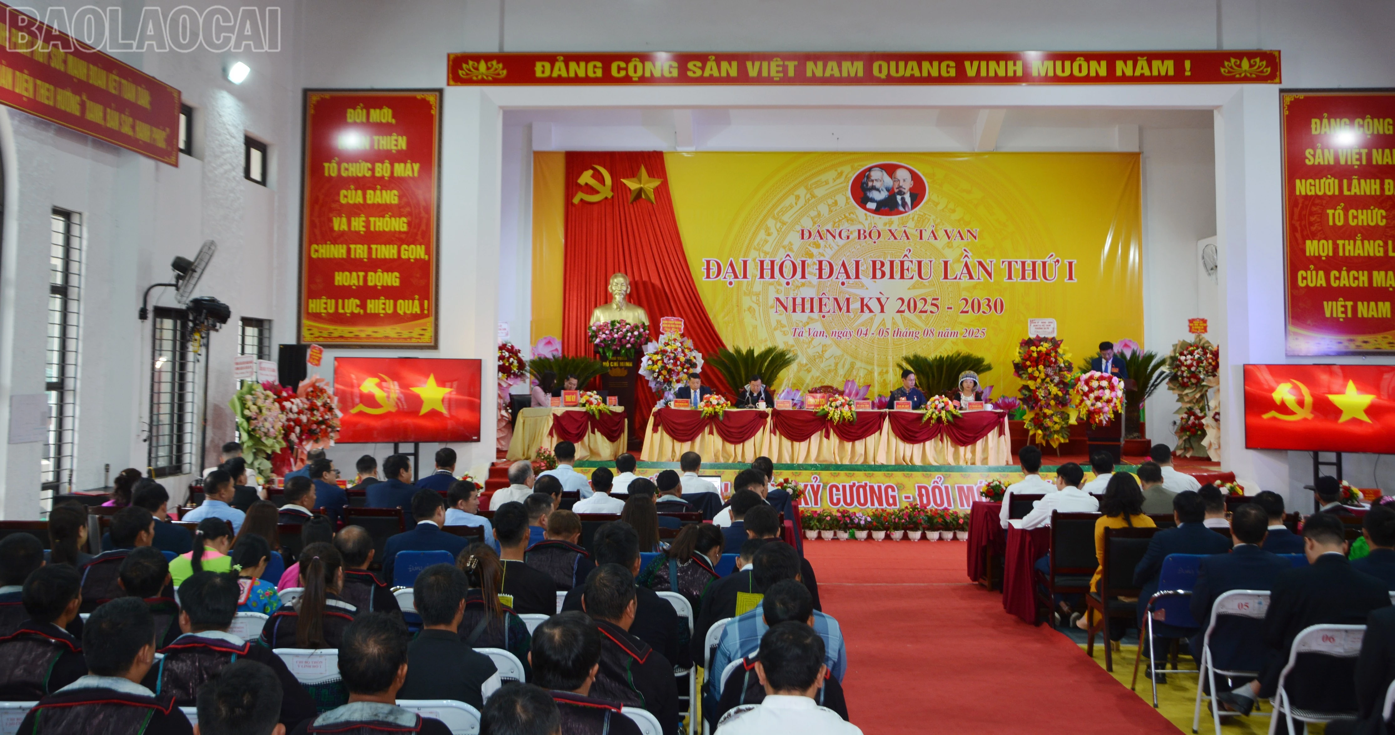 baolaocai-tl_dsc-7973.jpg
