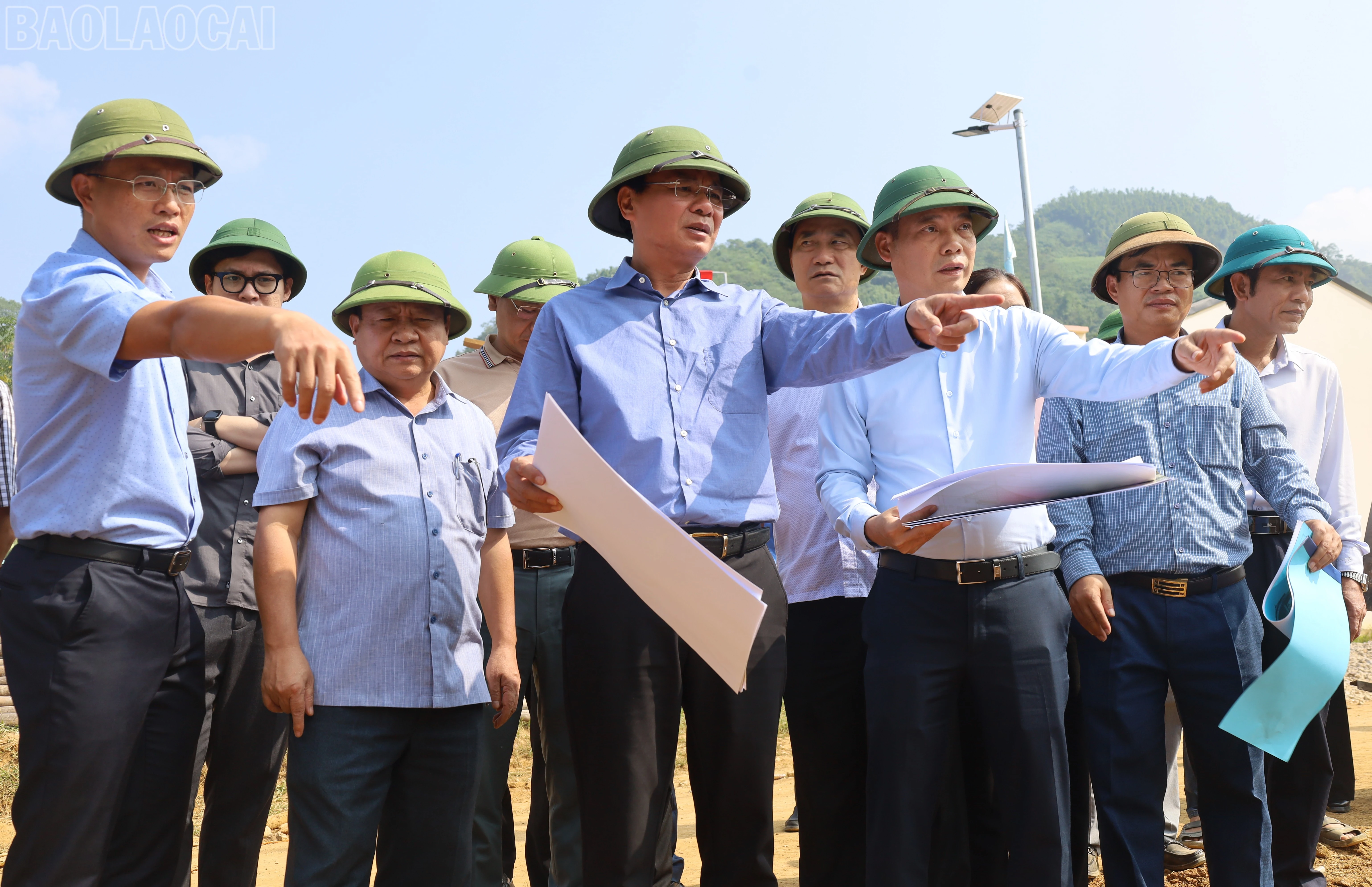 baolaocai-tl_img-2783.jpg