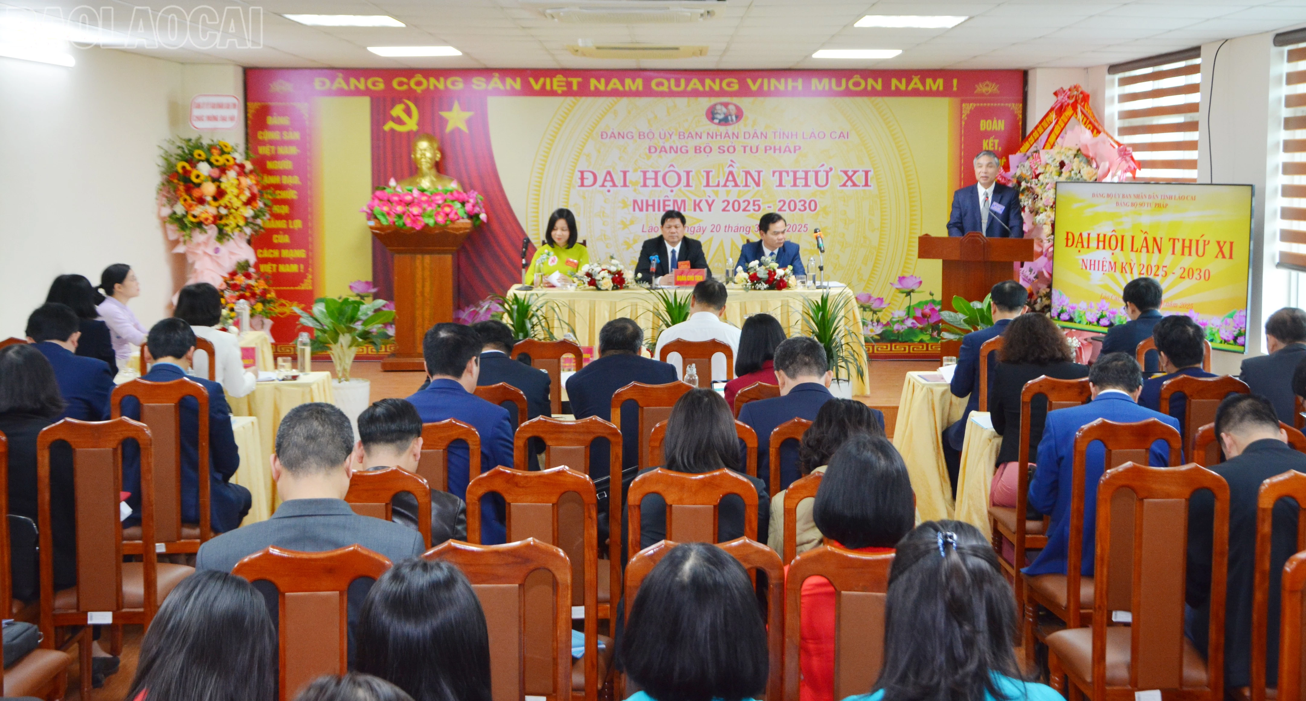 baolaocai-tl_dsc-5772.jpg