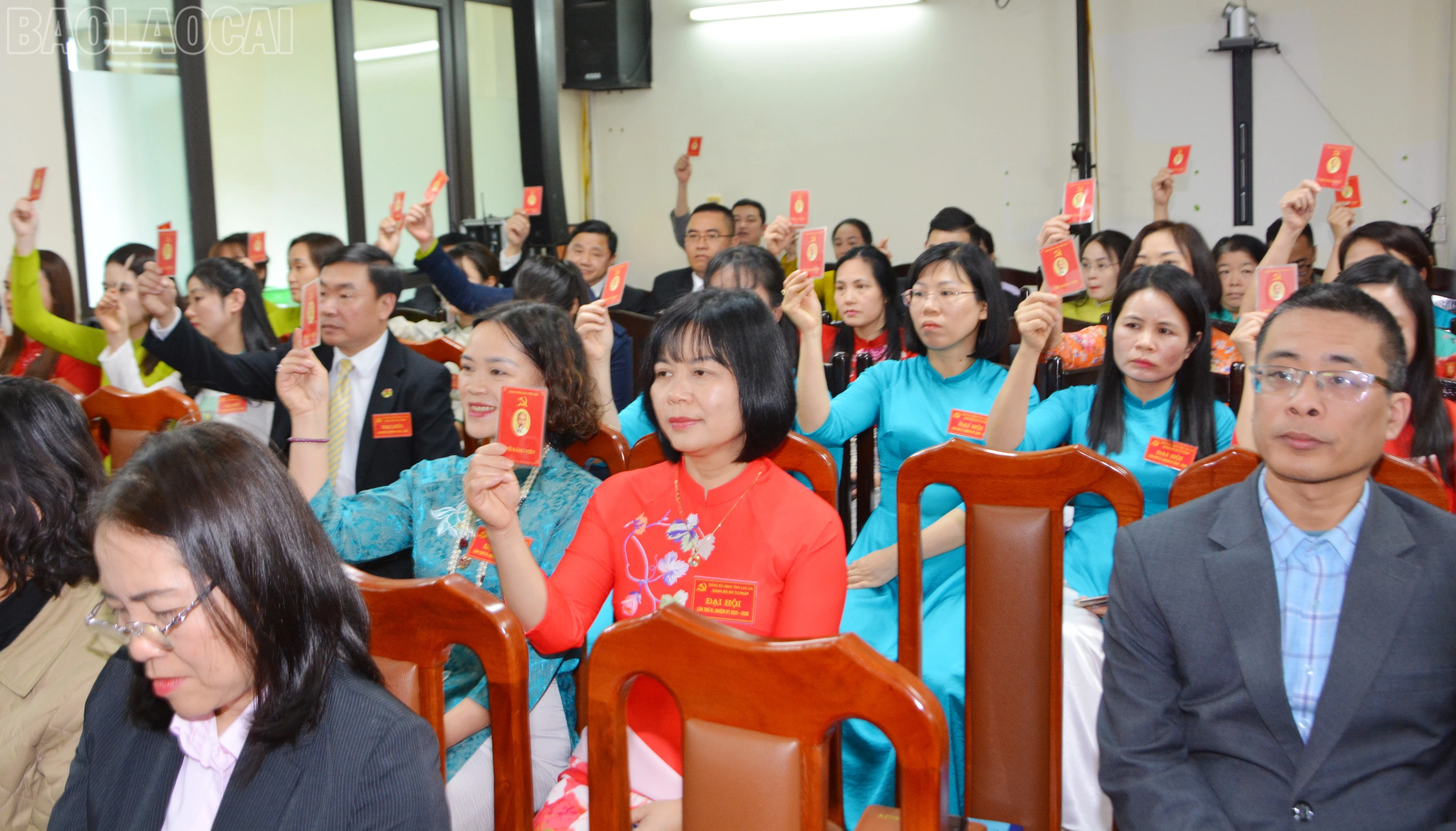 baolaocai-tl_dsc-5785.jpg