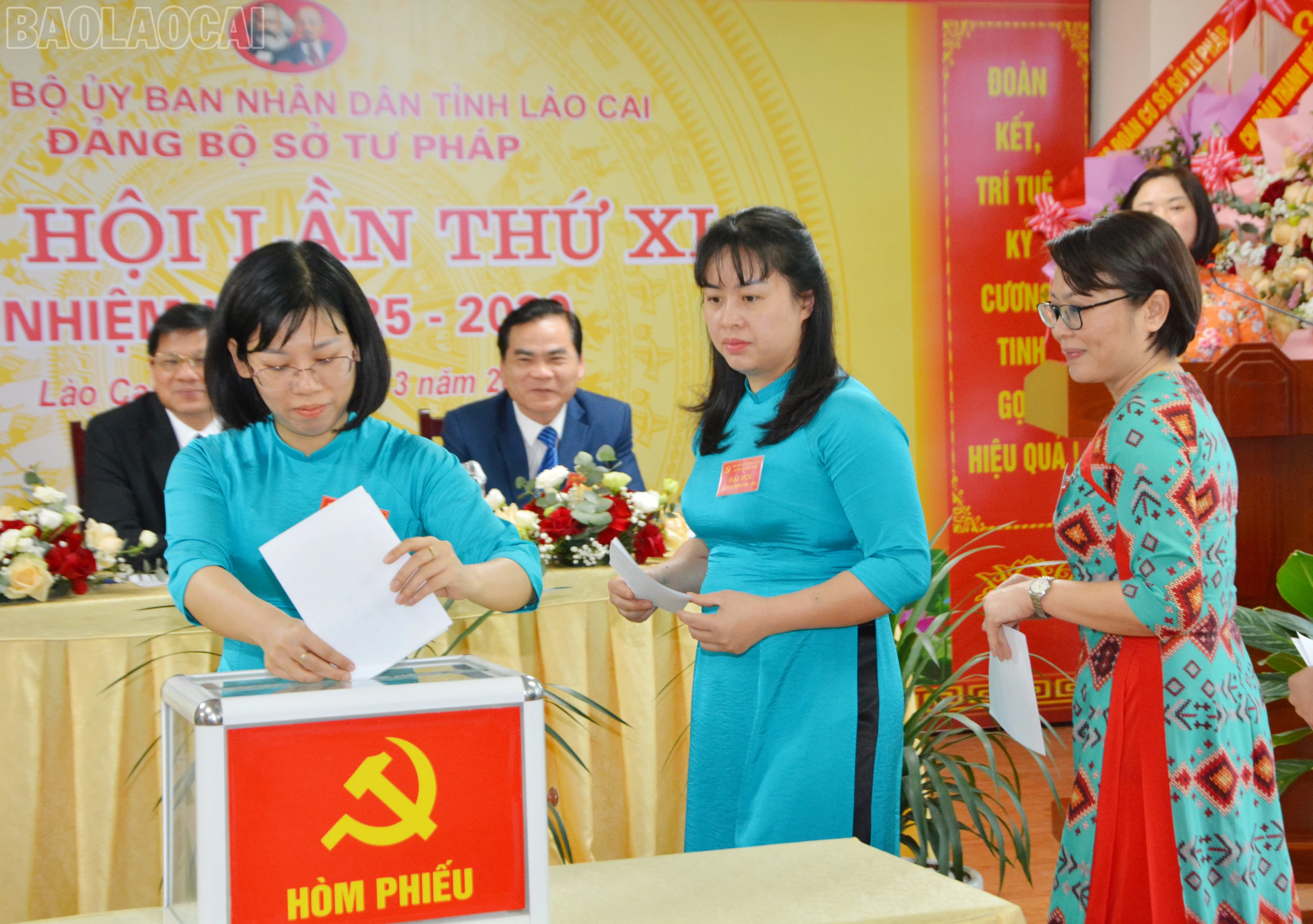 baolaocai-tl_dsc-5792.jpg