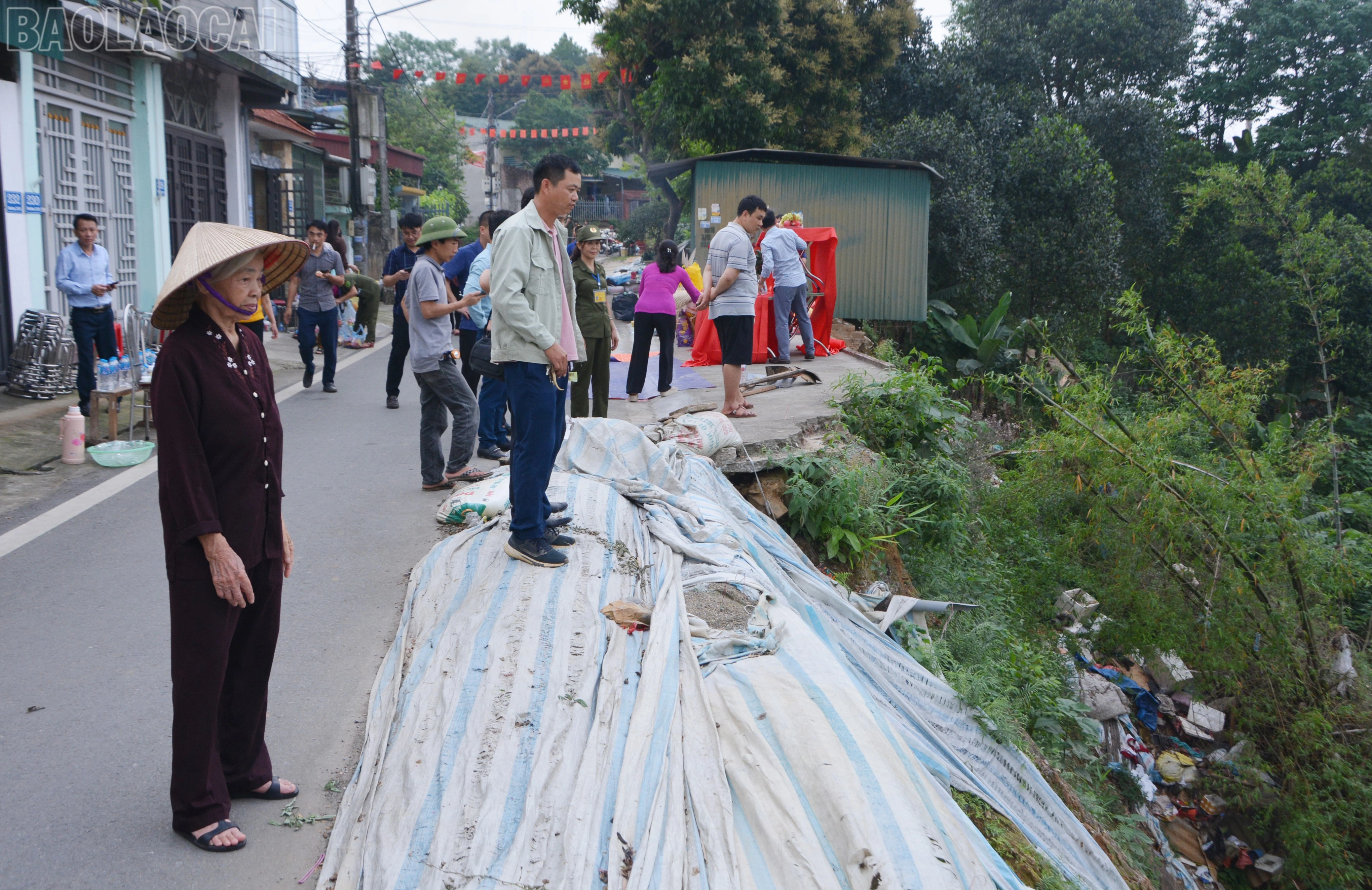 baolaocai-tl_dsc-6192.jpg