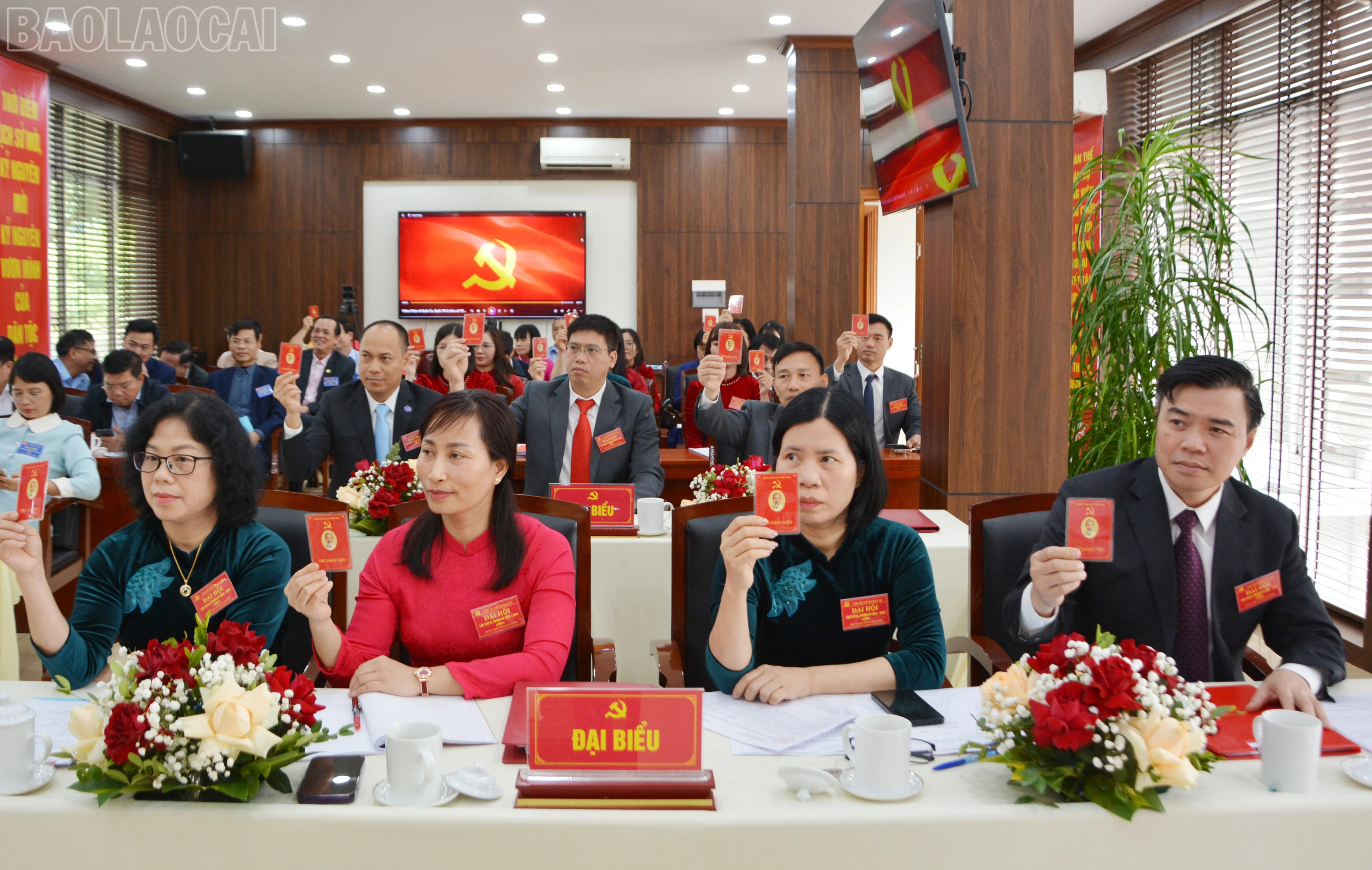 baolaocai-tl_dsc-5708.jpg